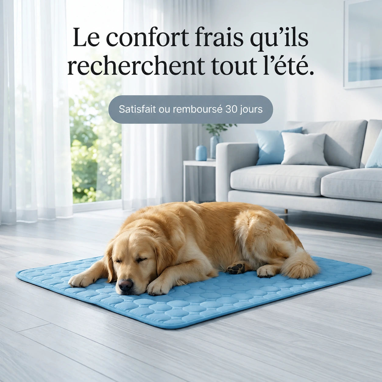 Tondeuse à Pattes Silencieuse – Hyggomi™