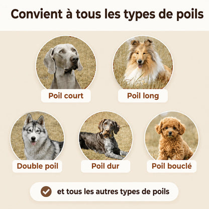 Brosse Anti-Poils Morts pour Chien – Hyggomi Silke™