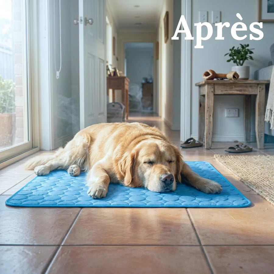 Après