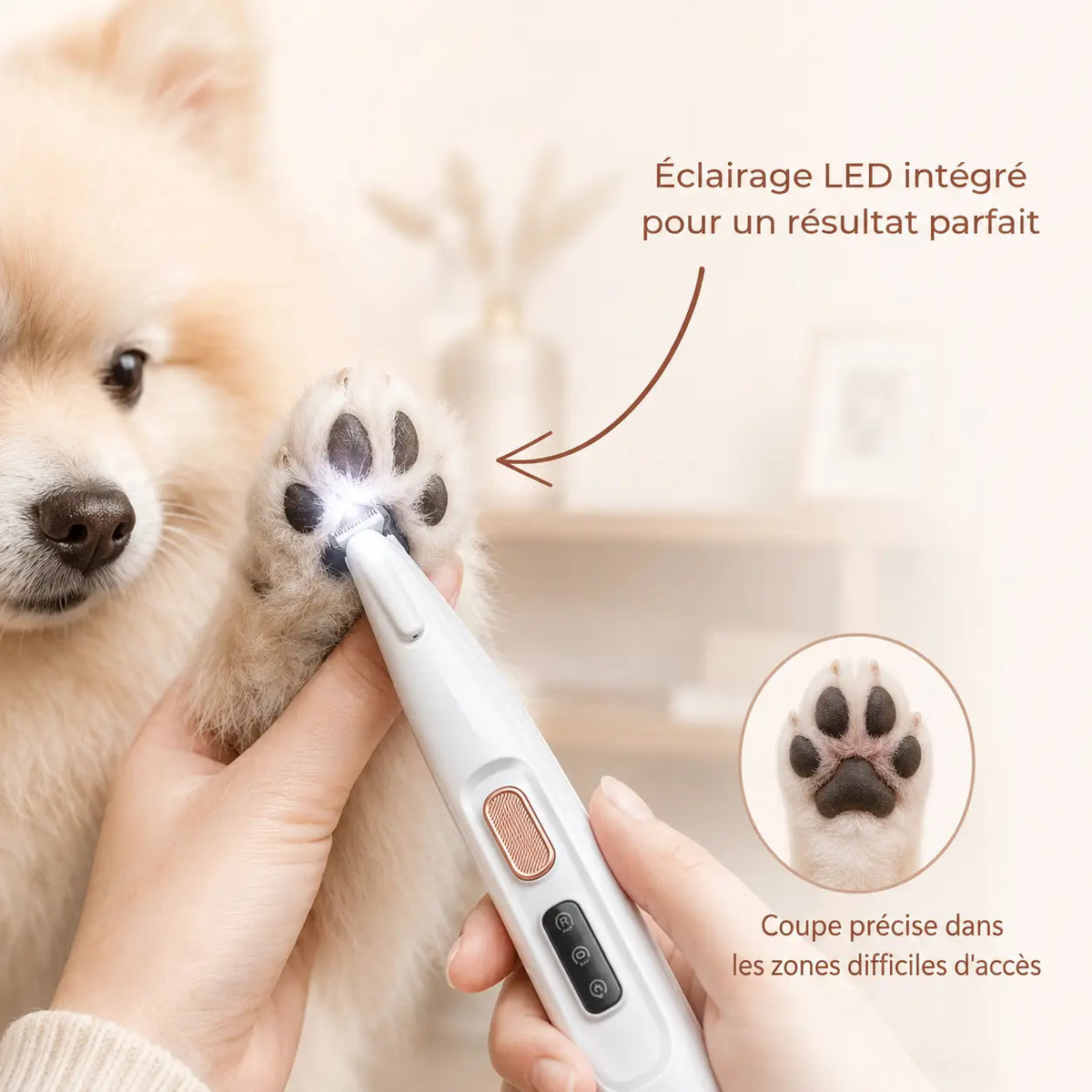 Pratique pour vous, sûr pour votre chien