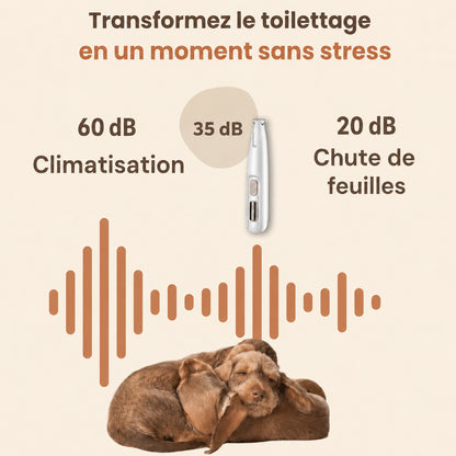 Tondeuse à Pattes Silencieuse pour Chien – Hyggomi Ro™