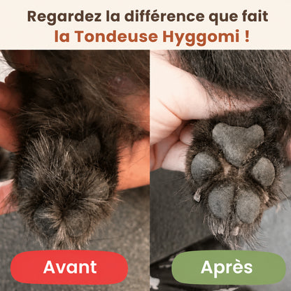 Tondeuse à Pattes Silencieuse pour Chien – Hyggomi Ro™