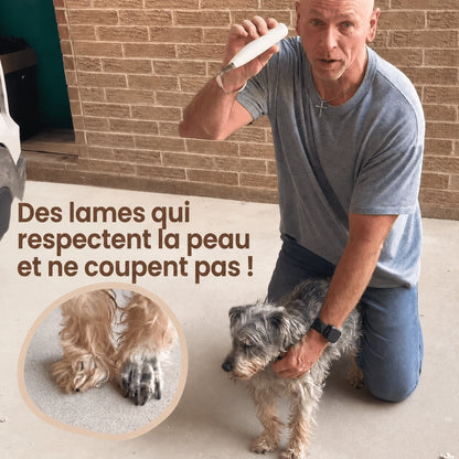 Tondeuse à Pattes Silencieuse pour Chien – Hyggomi Ro™