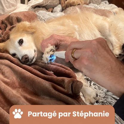 Tondeuse à Pattes Silencieuse pour Chien – Hyggomi Ro™
