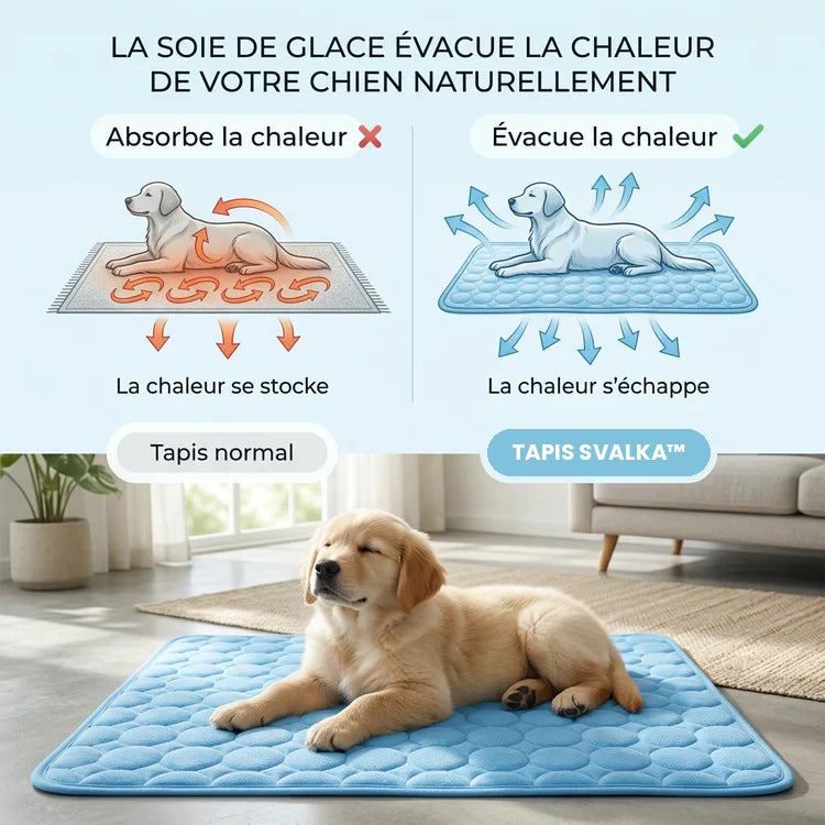 Comment le tapis Svalka rafraîchit votre chien ?